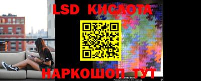 прущие грибы Кимры