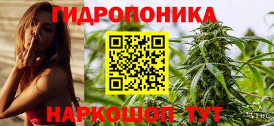 PSILOCYBIN Кингисепп