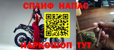 прущие грибы Кимры
