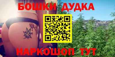 PSILOCYBIN Кингисепп