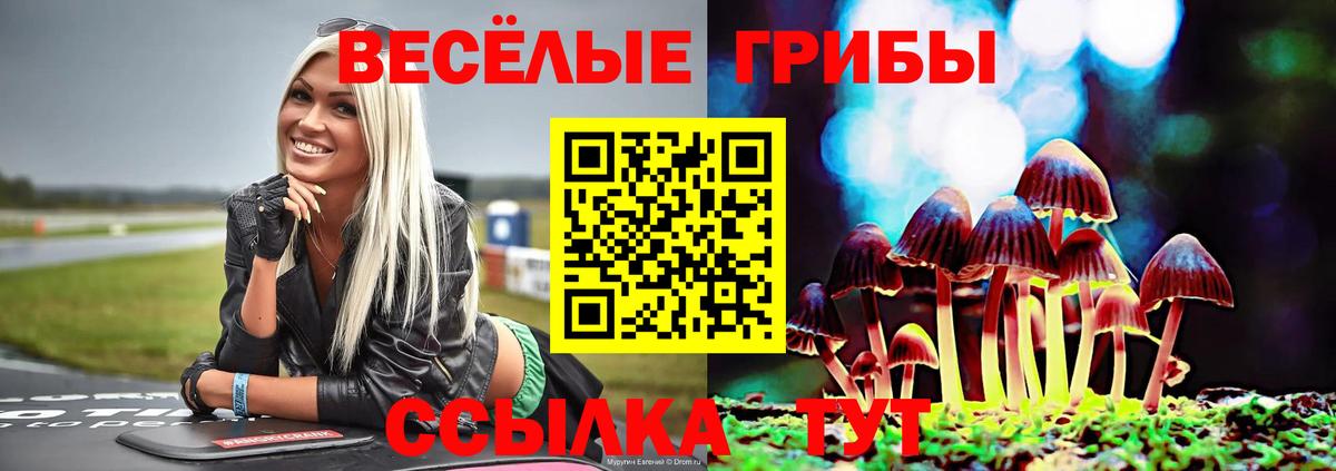 Галлюциногенные грибы Magic Shrooms Волоколамск